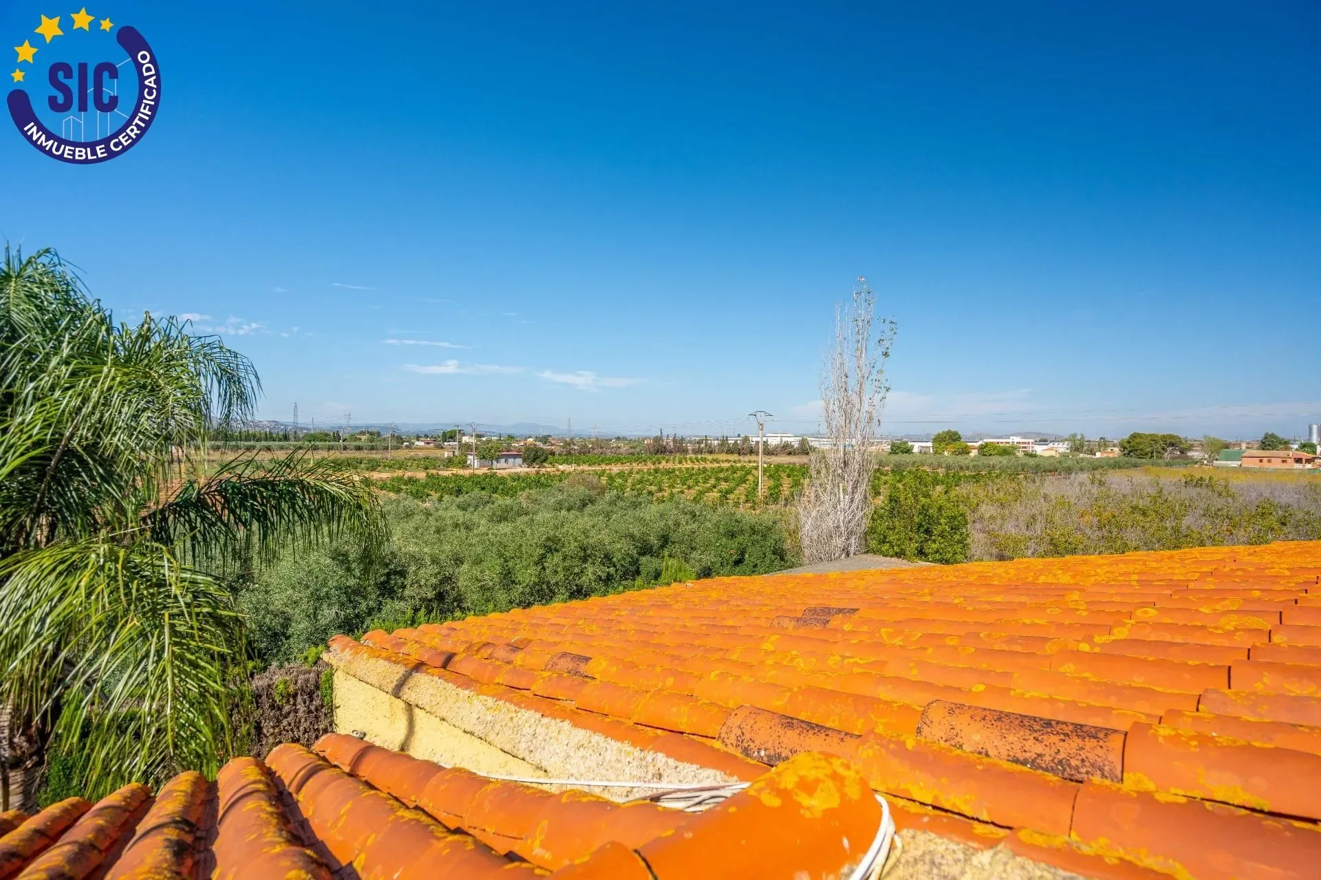 Zona Mas del Jutge, Torrent, VALENCIA, Torrent, Torrent, Valencian Community, Spain. - Photo 63