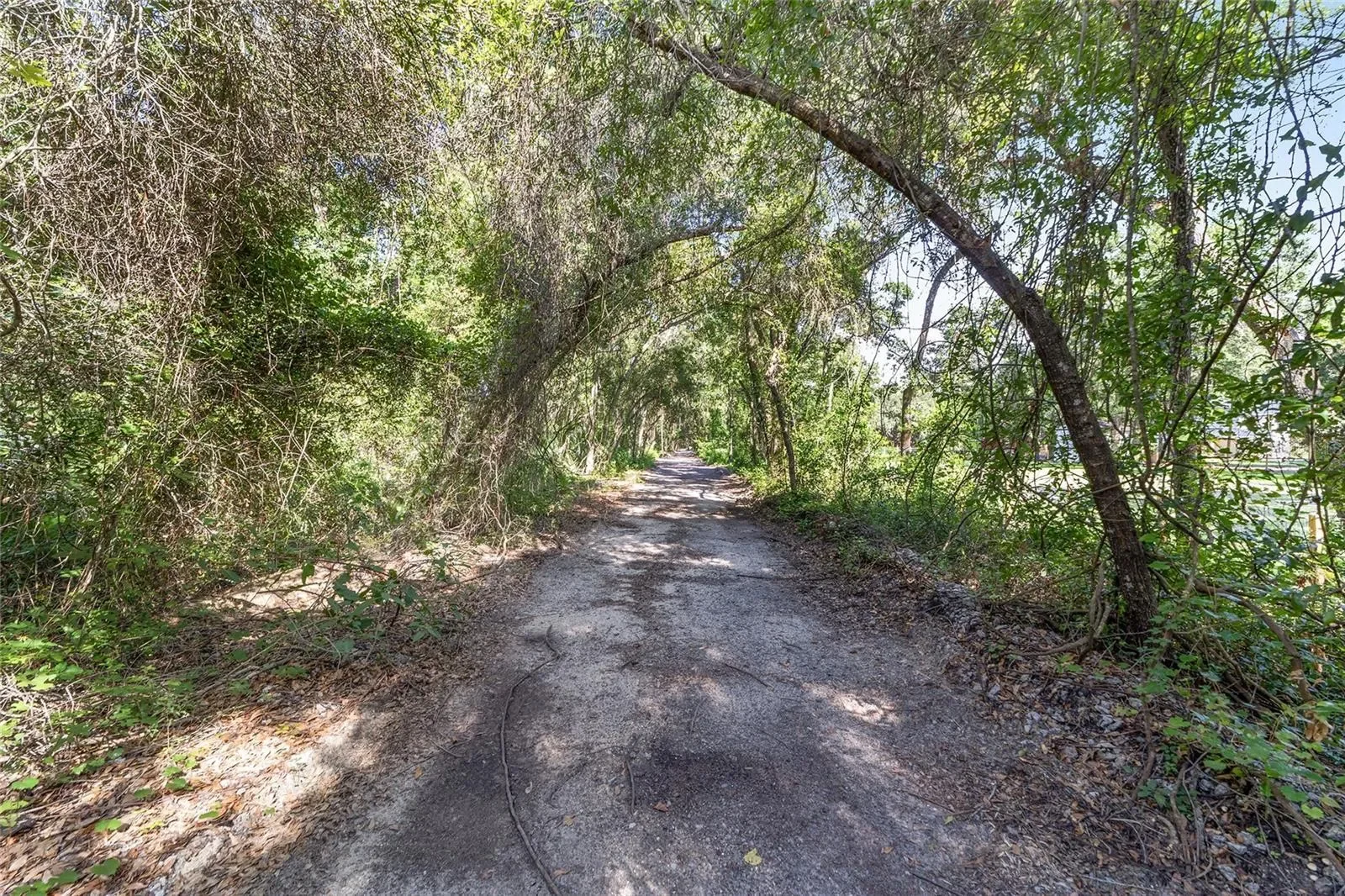 28 LOCUST RUN, Ocala, Florida, United States. - Photo 45