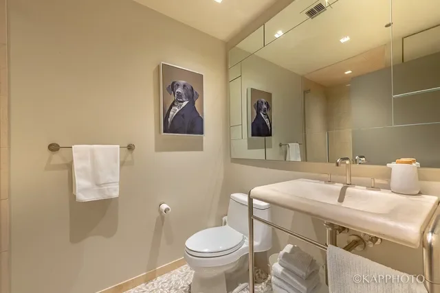 201 West Grand Avenue , 1001, Chicago, IL 60654, Chicago, Illinois, United States. - Photo 26