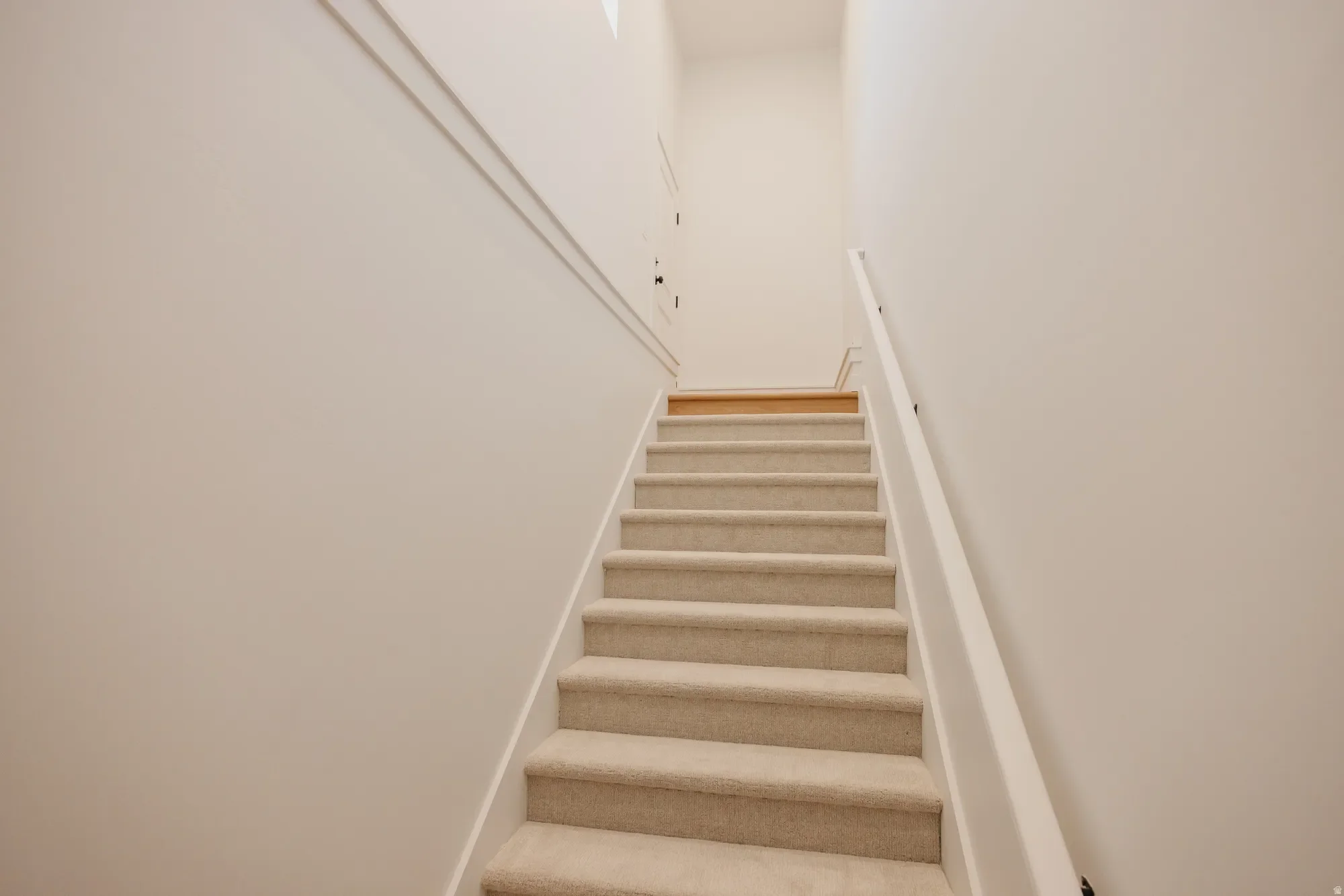 Gallery photo 2