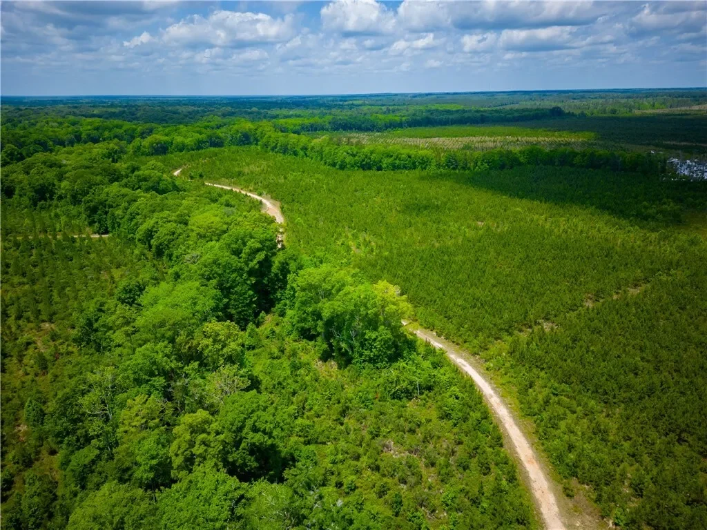 0 East River Road, Other, GA 31544, Jacksonville, Georgia, United States. - Photo 21