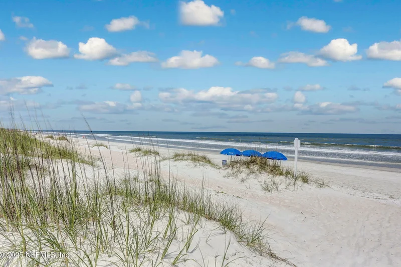 4694 CARLTON DUNES Drive 1401, Fernandina Beach, Florida, United States. - Photo 46