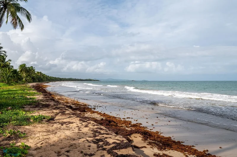Humacao OCEAN DR 500, Palmas del Mar, Humacao, Puerto Rico. - Photo 19