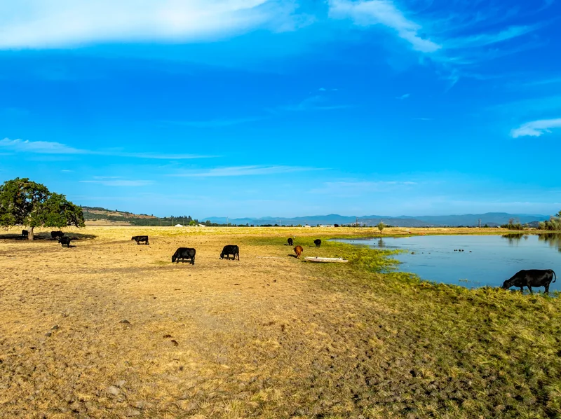1631 E Antelope, Eagle Point, OR, 97524, USA, Eagle Point, Oregon, United States. - Photo 17