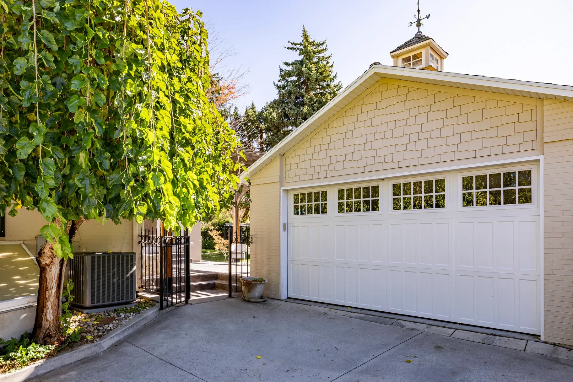 Gallery photo 2