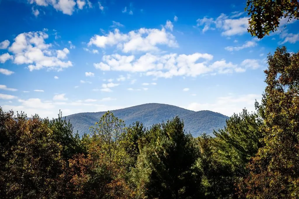 212 Dogpatch Lane, Blue Ridge, Georgia, United States. - Photo 58