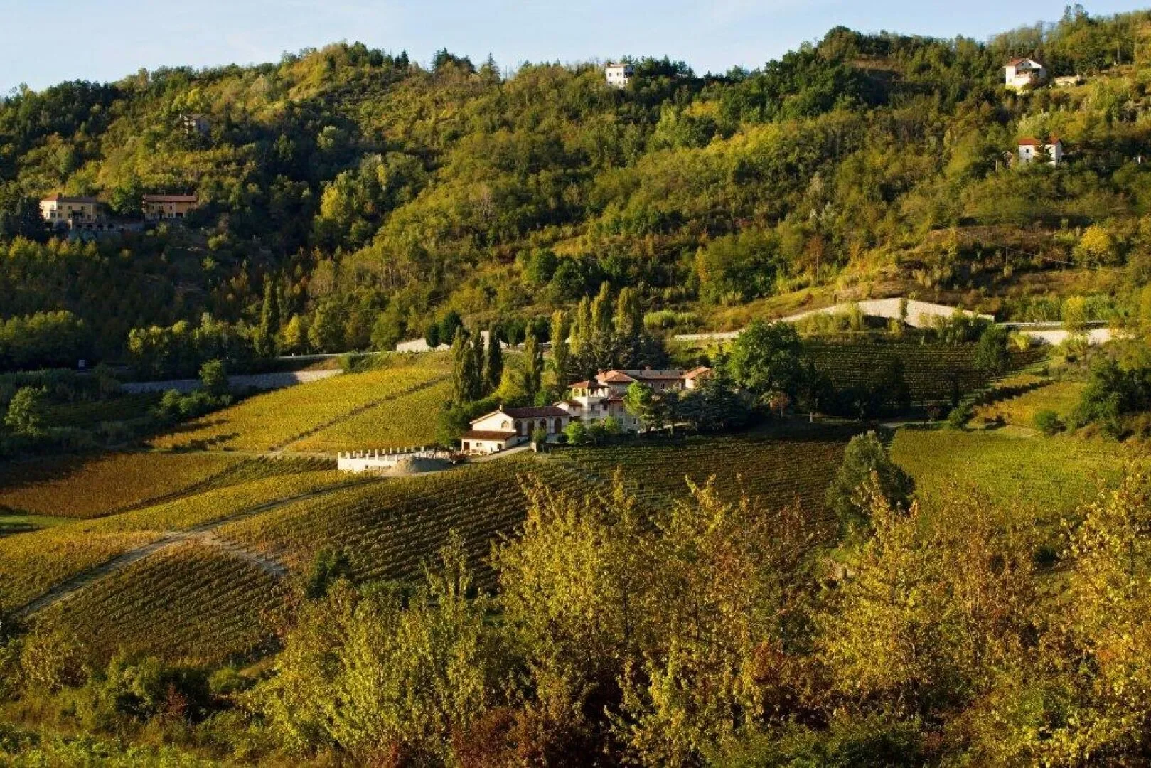 Cremolino, Piedmont, Italy. - Photo 24