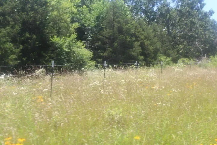 3176 S 170th Road, Polk, MO 65727, Bolivar, Missouri, United States. - Photo 26