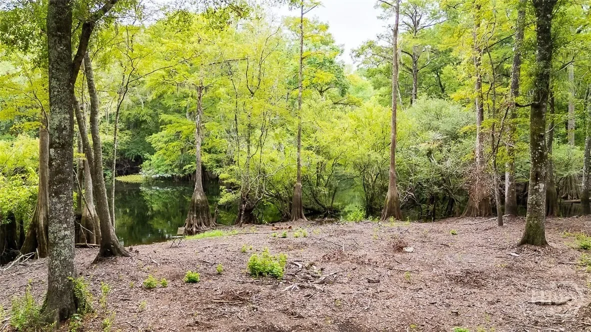 131 High Bluff Road, Rincon, Georgia, United States. - Photo 47