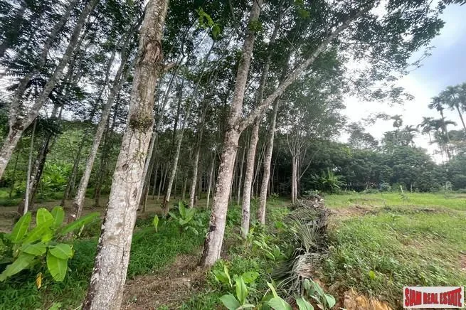Phang Nga,, Tha Yu, Phang-nga, Thailand. - Photo 15