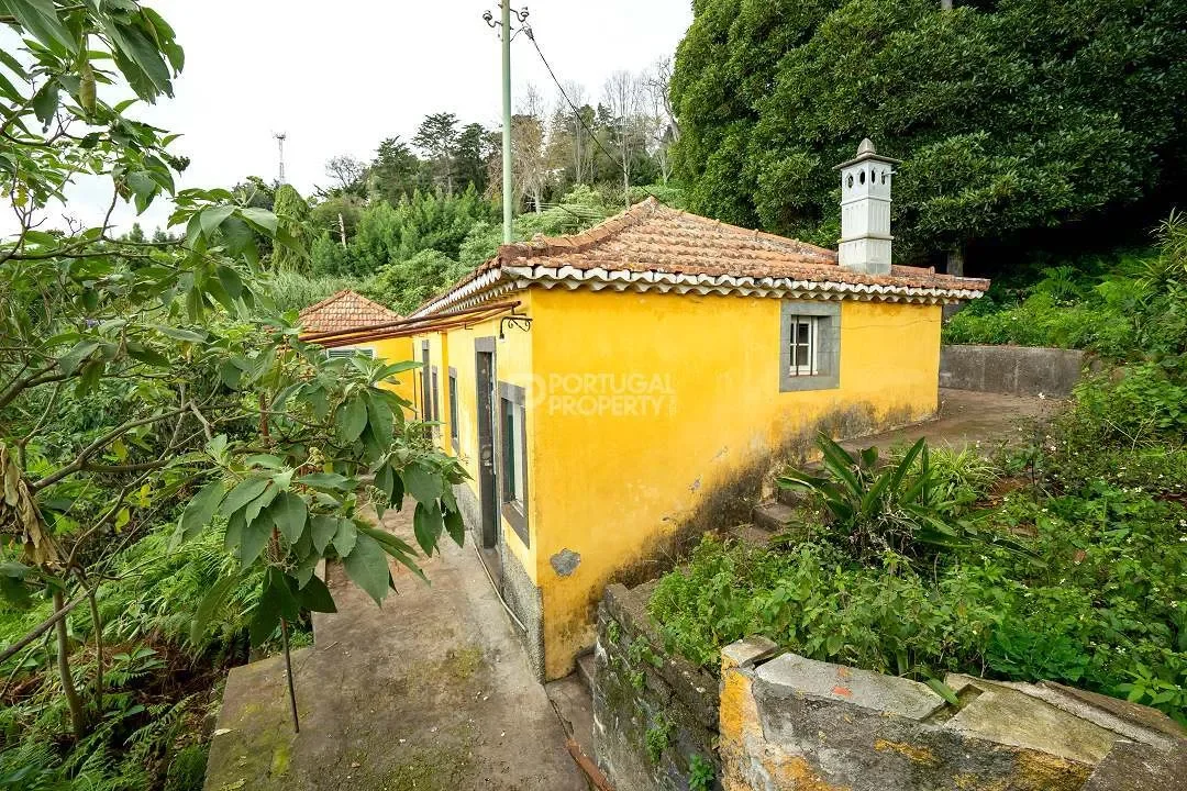Funchal, Madeira, Funchal, Se, Madeira, Portugal. - Photo 11