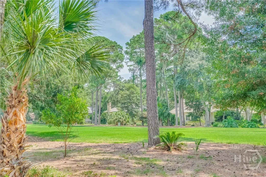 31 Sweetgum Crossing, Savannah, Georgia, United States. - Photo 30