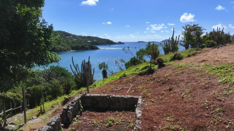 6e1&2 Hansen Bay, St. John, VIRGIN ISLANDS (U.S.), East End, St. John, U.S. Virgin Islands. - Photo 25