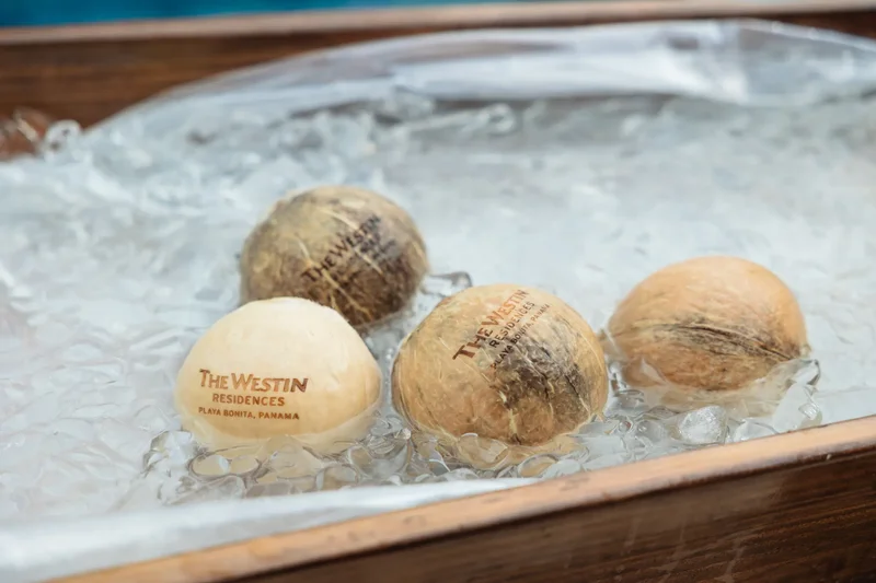 Km 6 Camino A Veracruz, Panamá, Provincia de Panamá Oeste, Panama, Arraiján, Panama, Panama. - Photo 7