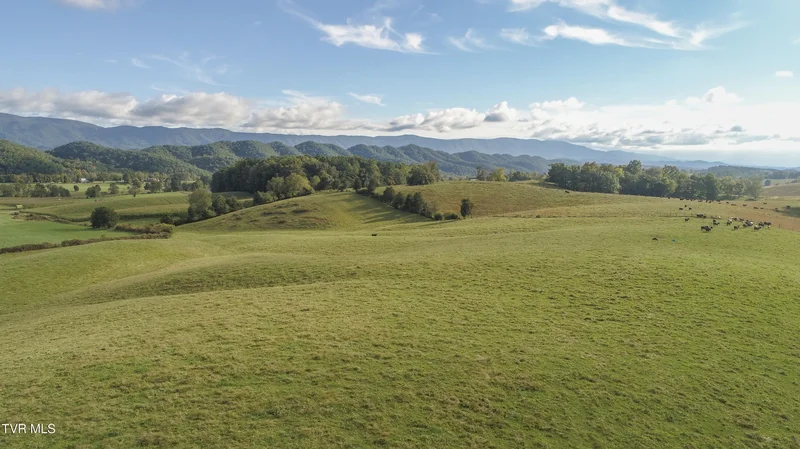Tbd Highway 44 #Lot 7, Bristol, TN 37620, Tyler, Texas, United States. - Photo 17