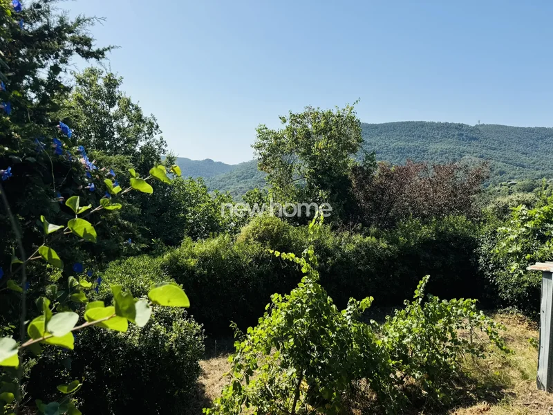 Les Adrets-de-l'Estérel, Provence-Alpes-Côte d'Azur, France. - Photo 4