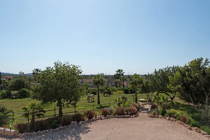07620 Llucmajor, Balearic Islands, Spain, Llucmajor, Balearic Islands, Spain. - Photo 21
