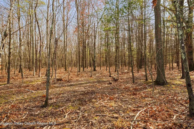 404 Winter Clove Road , Round Top, NY 12473, Round Top, New York, United States. - Photo 127