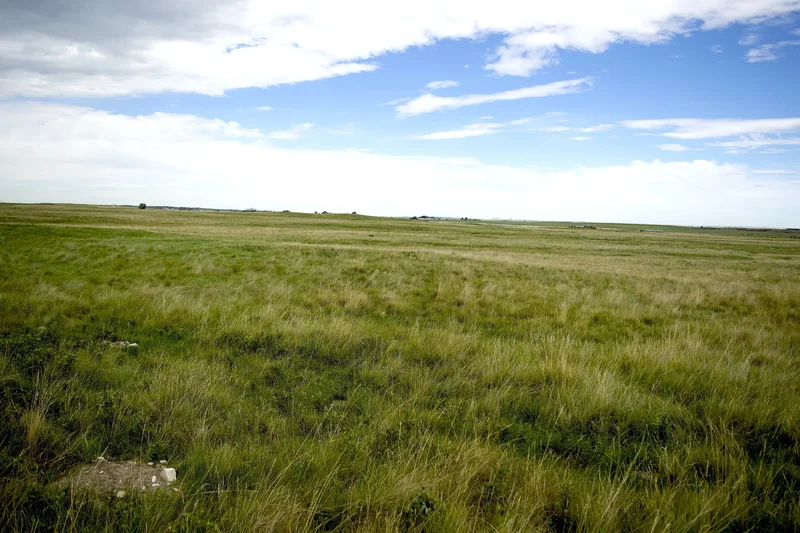 530 Ave W, Rural Foothills M.D., AB T1S 1B4, High River, Alberta, Canada. - Photo 5