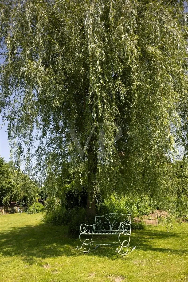 Bad Wurzach, Baden-Württemberg, Germany. - Photo 15