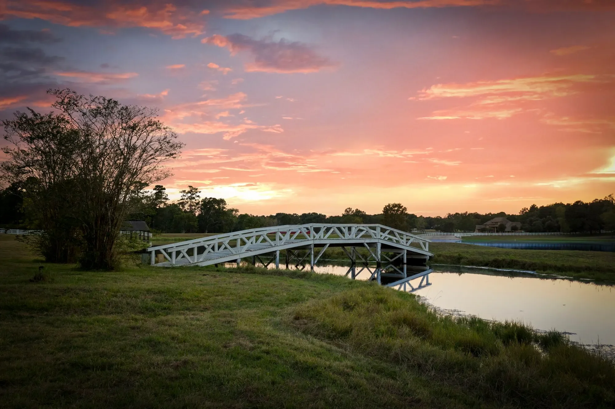 2250 Spring Branch Road, Montgomery, TX 77316, Montgomery, Texas, United States. - Photo 1