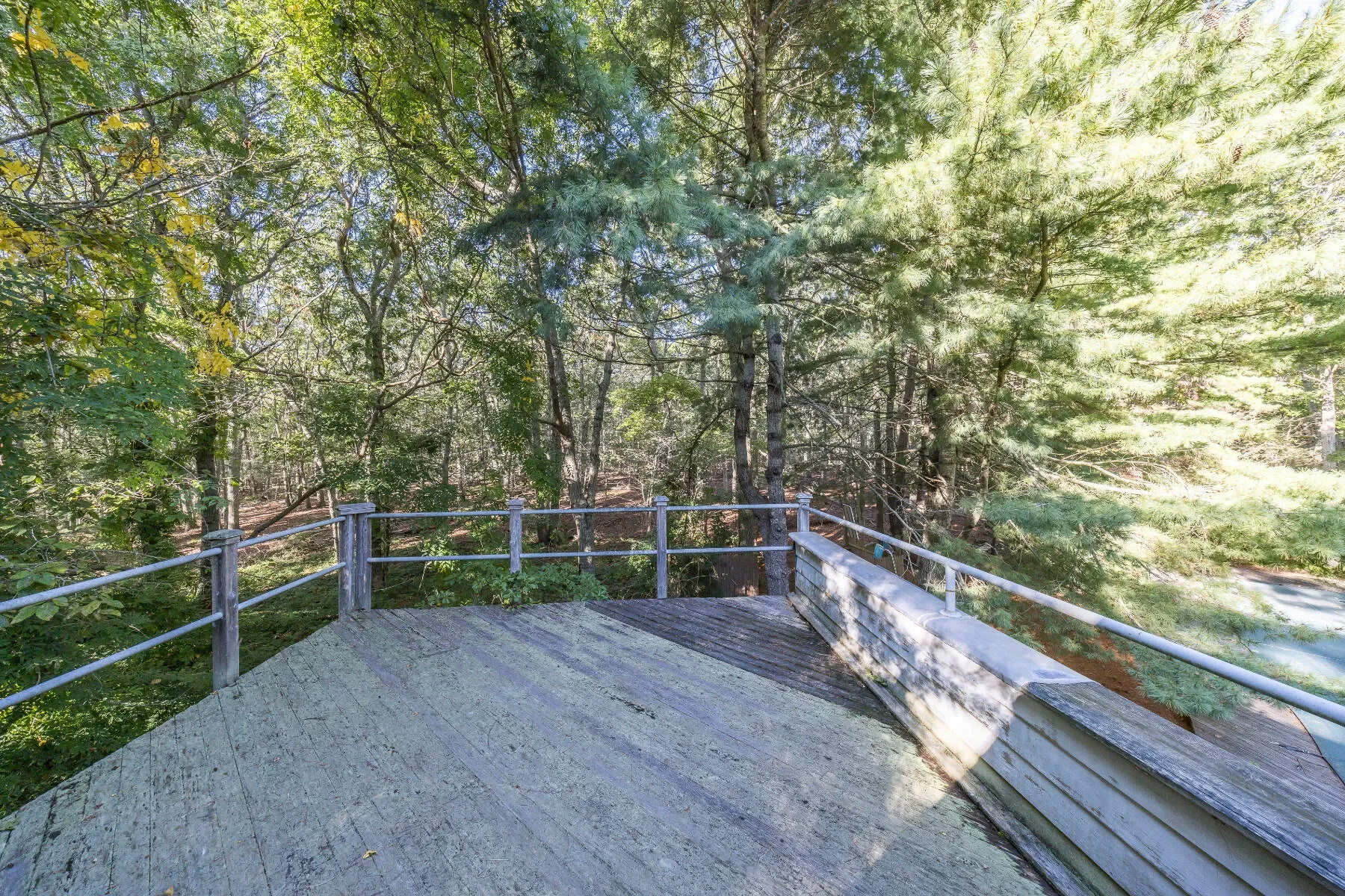 Gallery photo 4