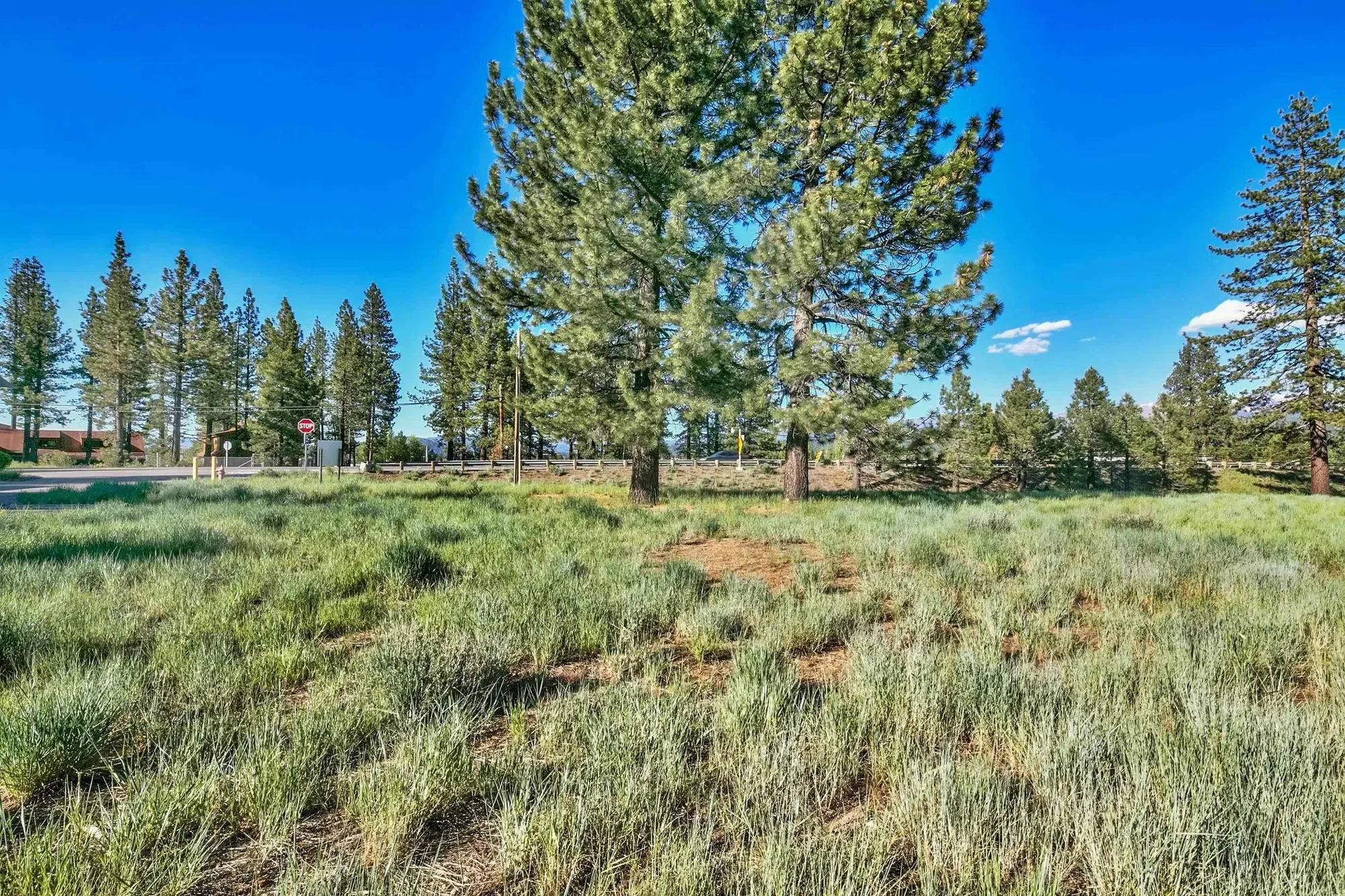 9701 Highway 267, Truckee, California, United States. - Photo 6