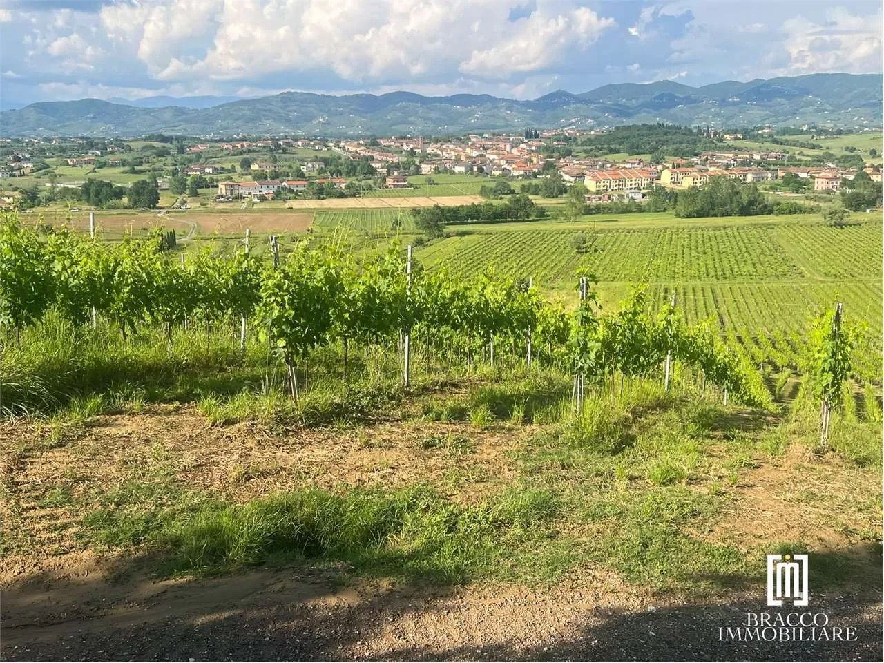 Via Roma, Cerreto Guidi, Tuscany, Italy. - Photo 11