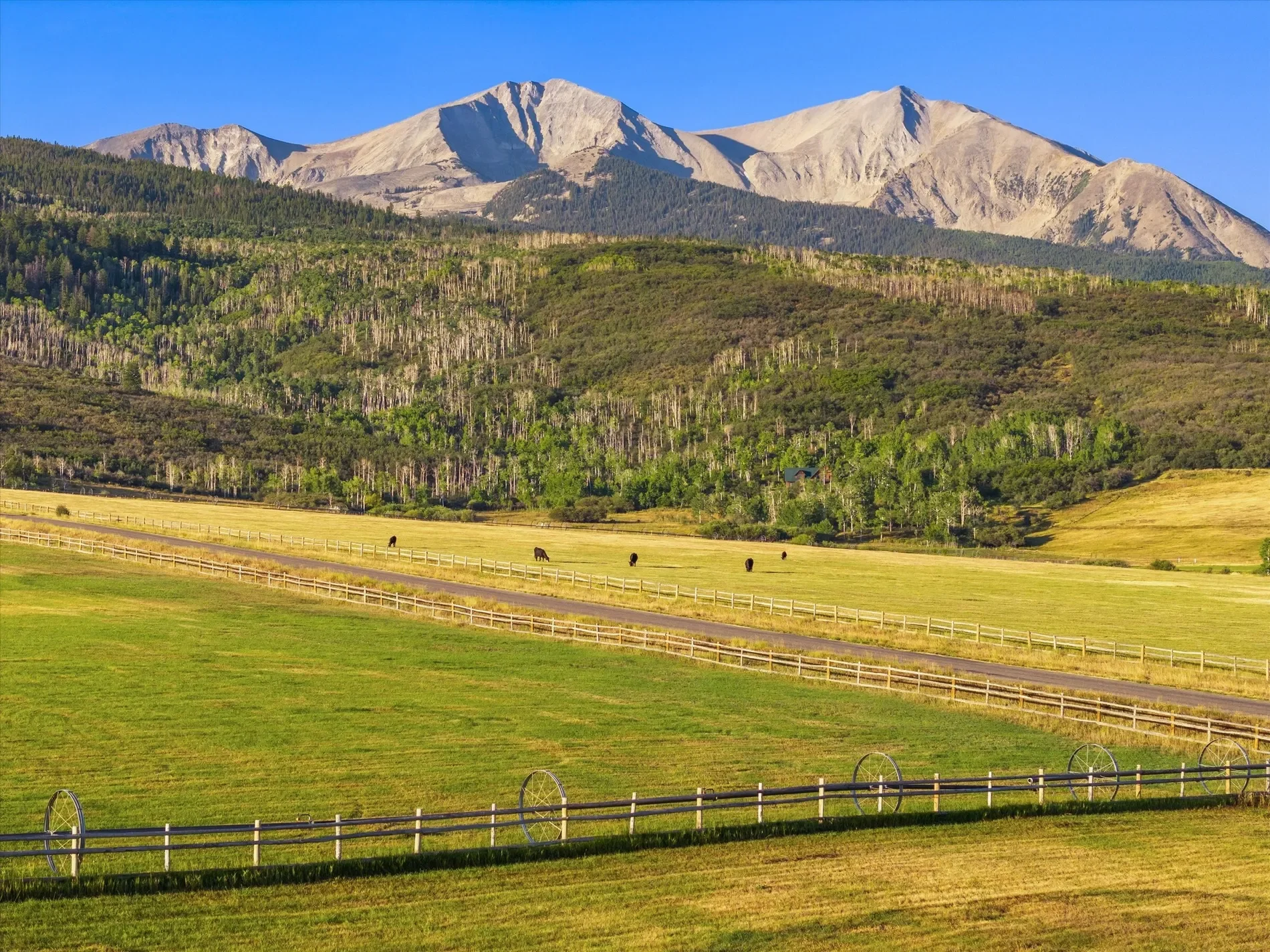TBD Old Herron Road Lot 48, Basalt, CO 81621, El Jebel, Colorado, United States. - Photo 11