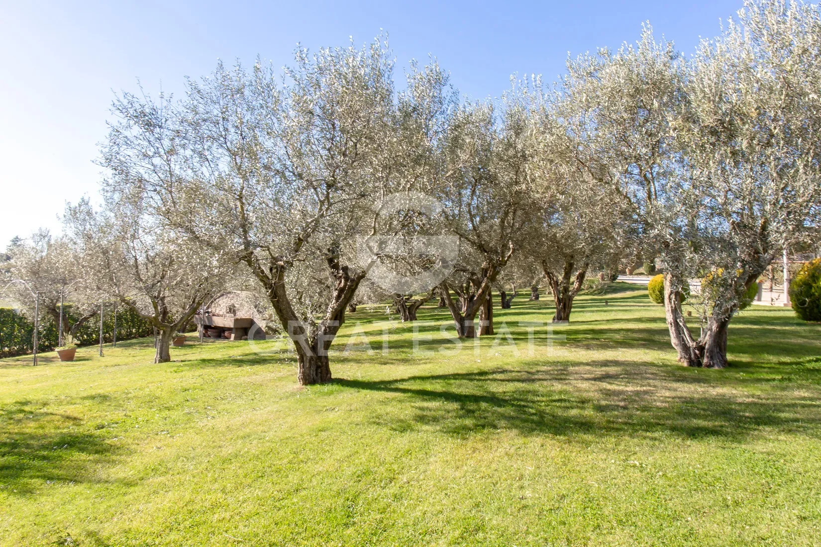 Lazio, Montefiascone, Lazio, Italy. - Photo 28