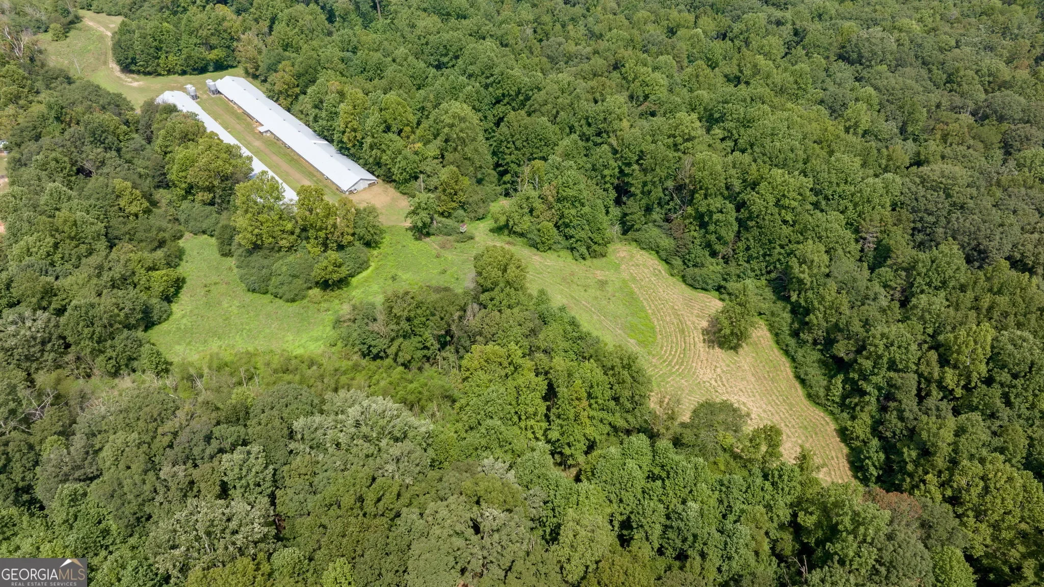 Lula, Georgia, United States. - Photo 62