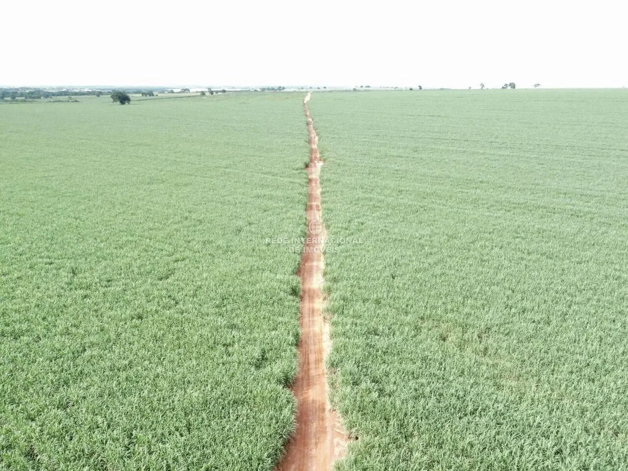 Farm in the municipality of Icem - SPenbsp; ?? Total gross area: 439 alqueires Paulistas = 1060 hec