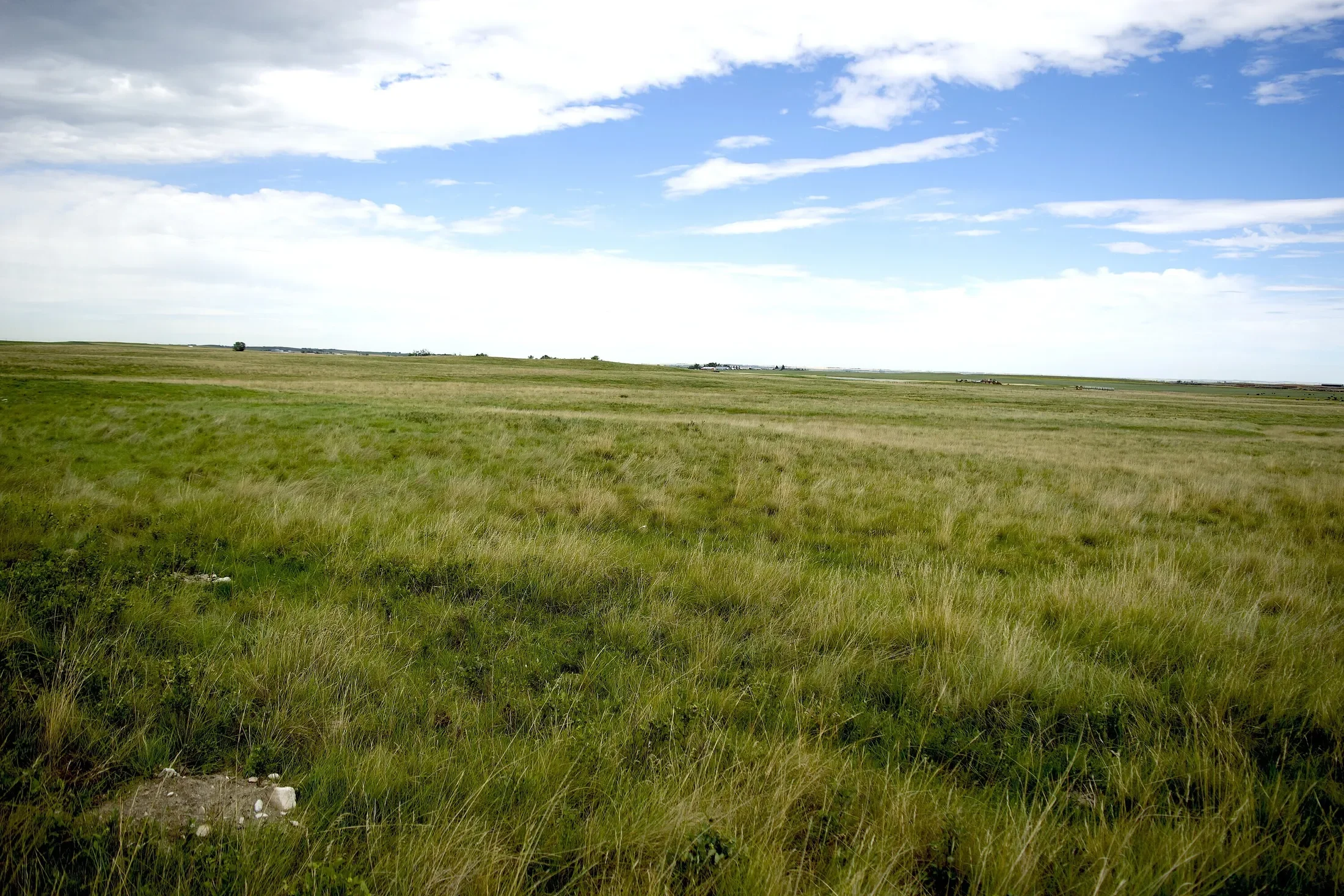 Gallery photo 5