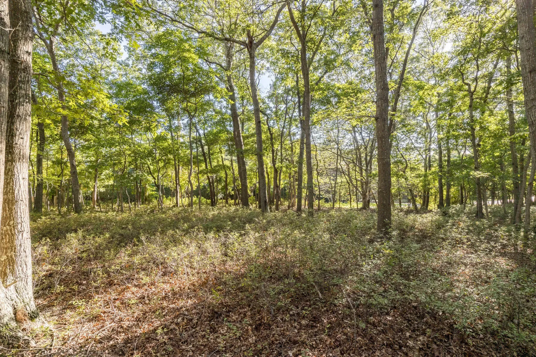 251 TOWN LANE , Amagansett, NY 11930, East Hampton, New York, United States. - Photo 40