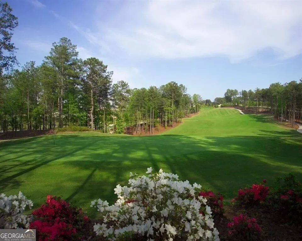 Acworth, Georgia, United States. - Photo 69