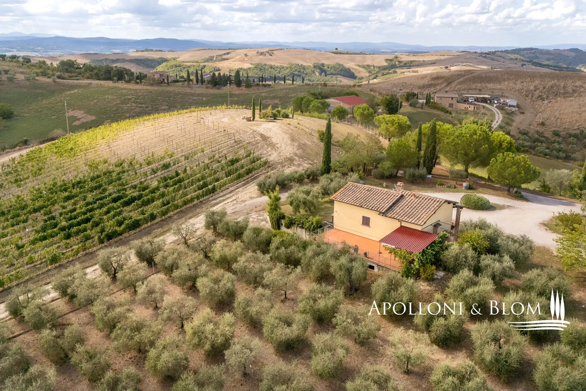 SP 14, Tuscany, Italy. - Photo 28