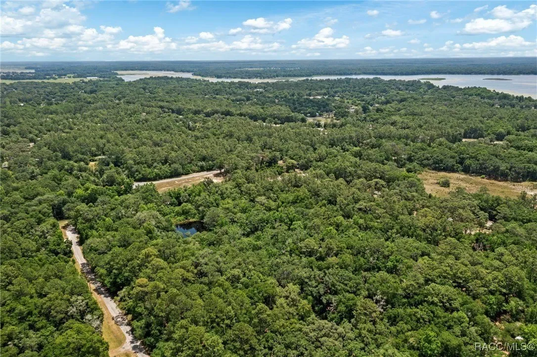 11151 Highway 40 E, Inglis, FL 34449, Inglis, Florida, United States. - Photo 1