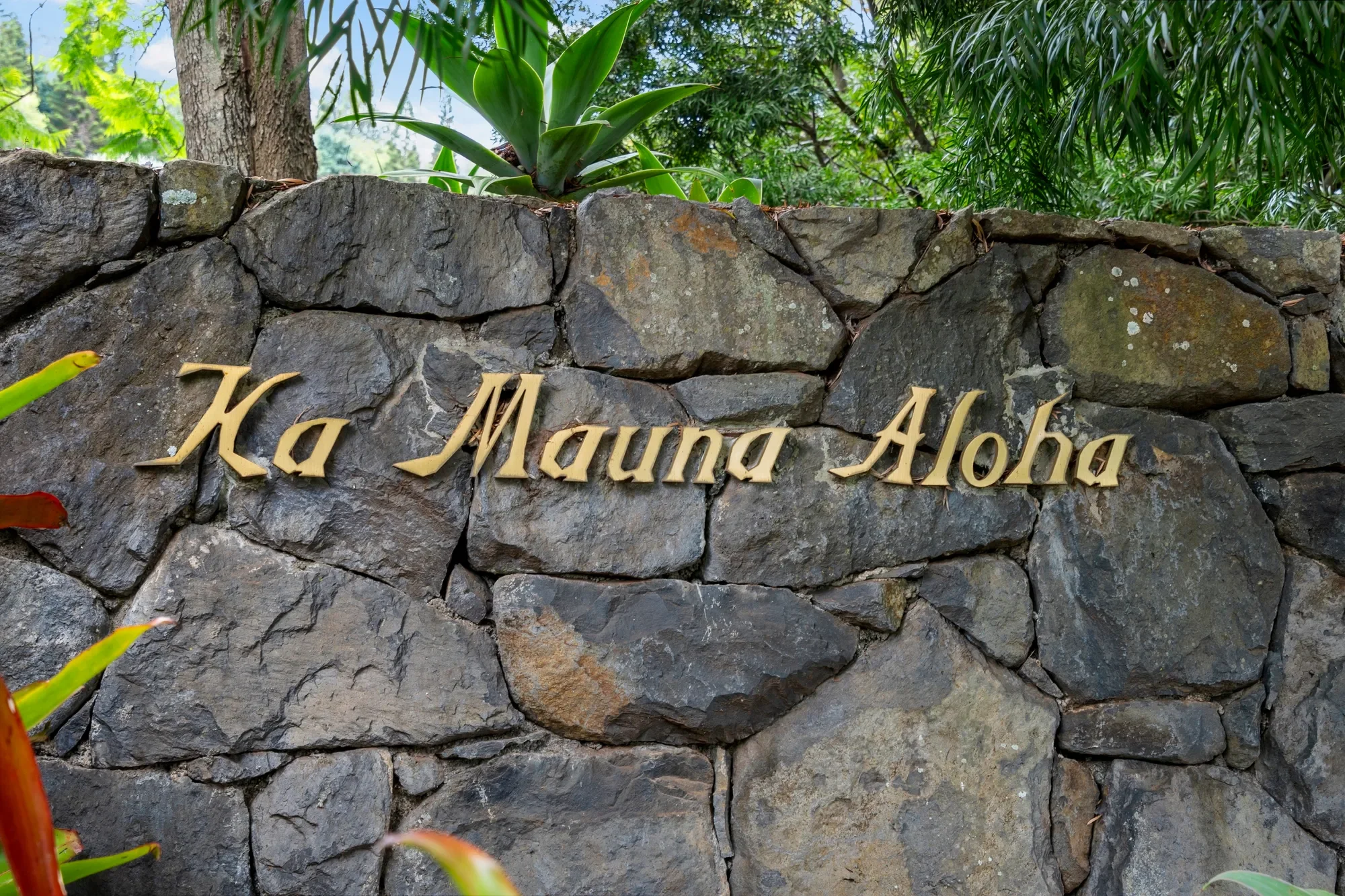 730 Lower Kimo Drive, Kula, HI 96790, Kula, Hawaii, United States. - Photo 8