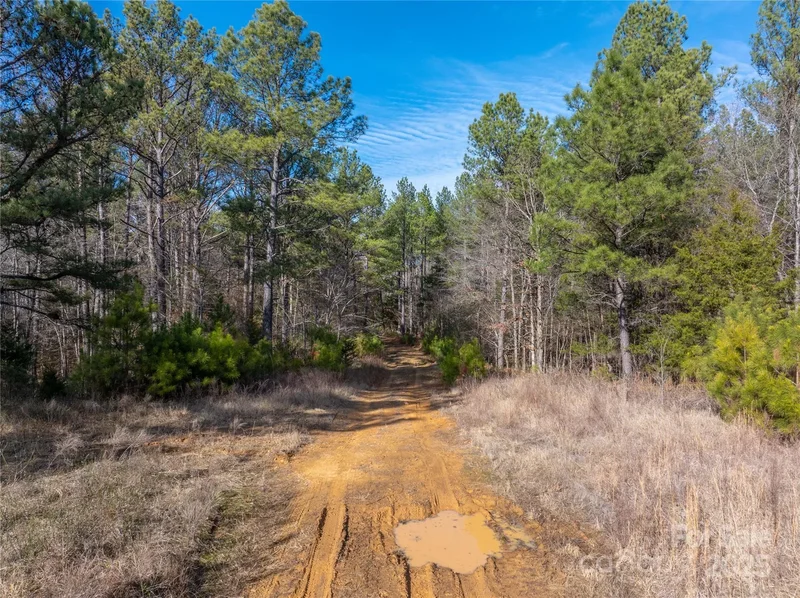 0000 Quarter Round Road #9, Pacolet, SC 29372, Pacolet, South Carolina, United States. - Photo 17