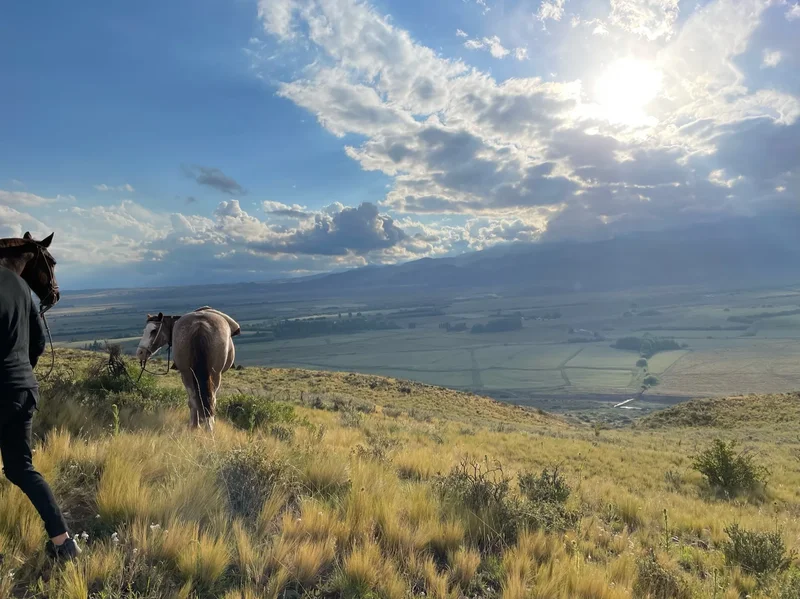 Land in Tupungato, Mendoza, M, Las Heras, Mendoza Province, Argentina. - Photo 13