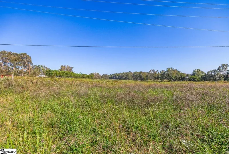 0 S Hammett Road, Woodruff, SC 29388, Greer, South Carolina, United States. - Photo 24