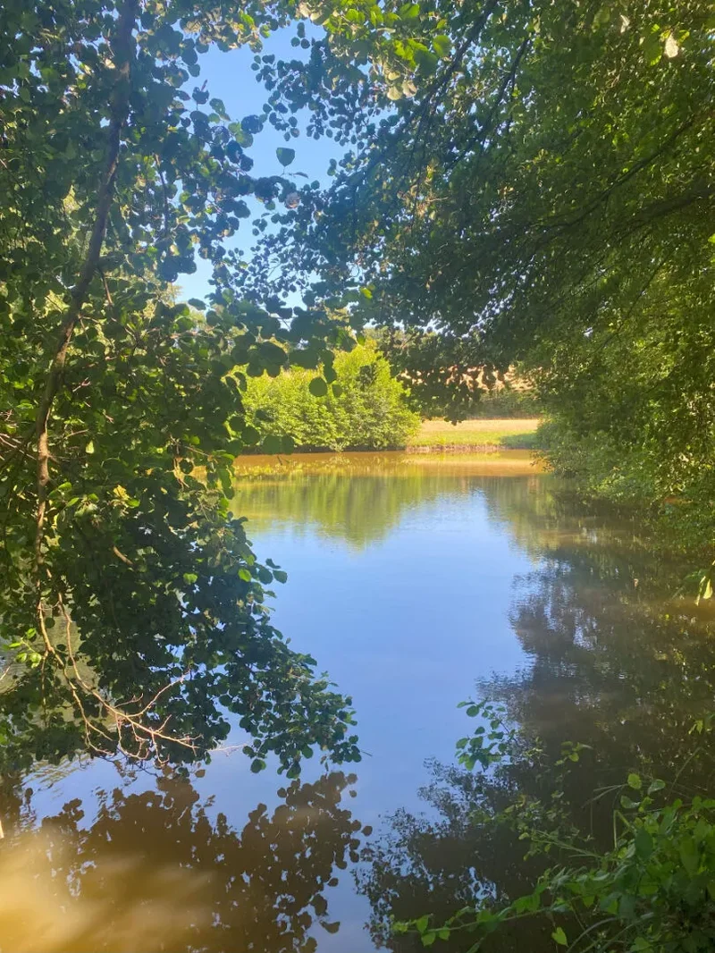 Baugé-en-Anjou, Pays de la Loire, France. - Photo 2