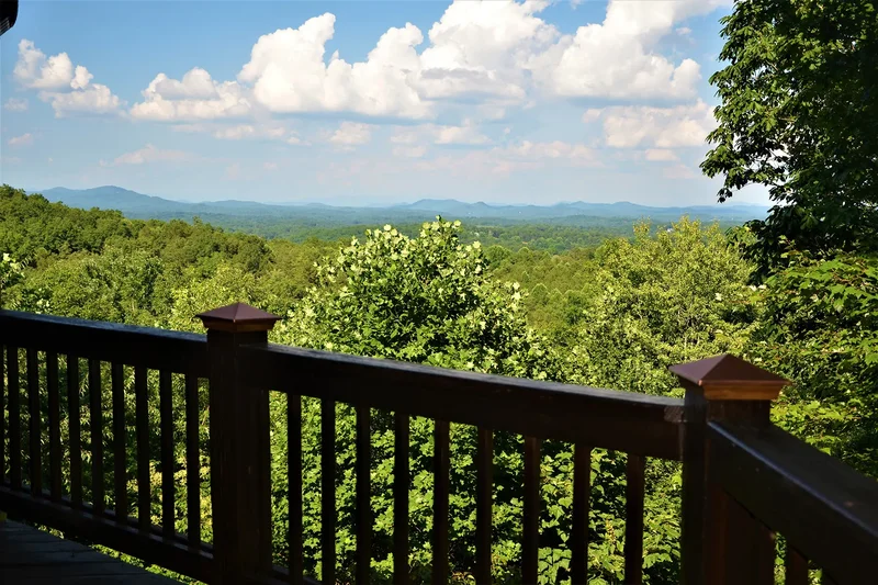 620 Price Road, Blue Ridge, GA 30513, Blue Ridge, Georgia, United States. - Photo 64