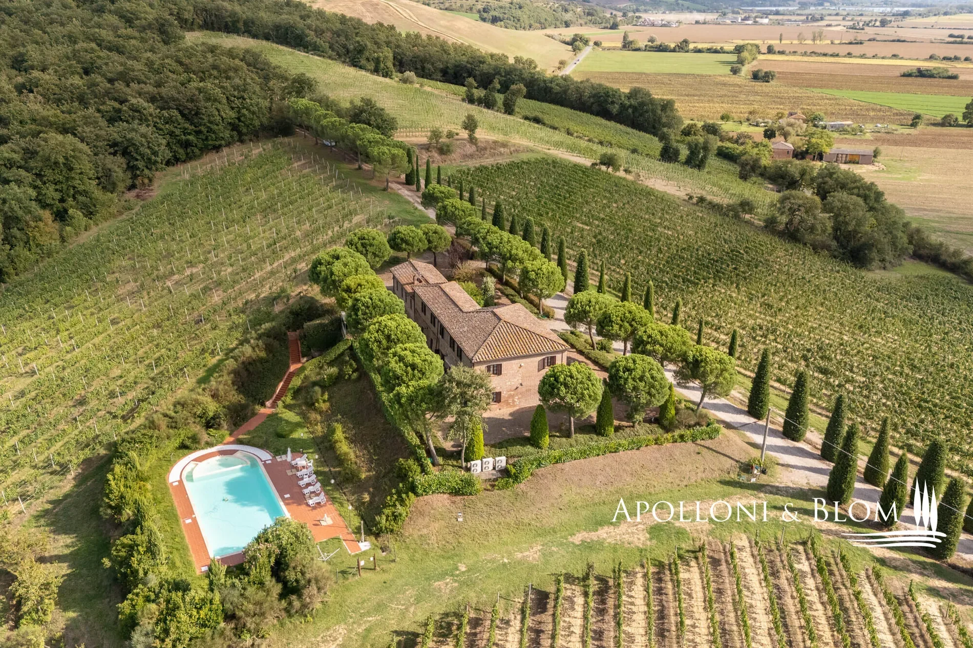 Via di Terra Rossa, Valiano, Tuscany, Italy. - Photo 19