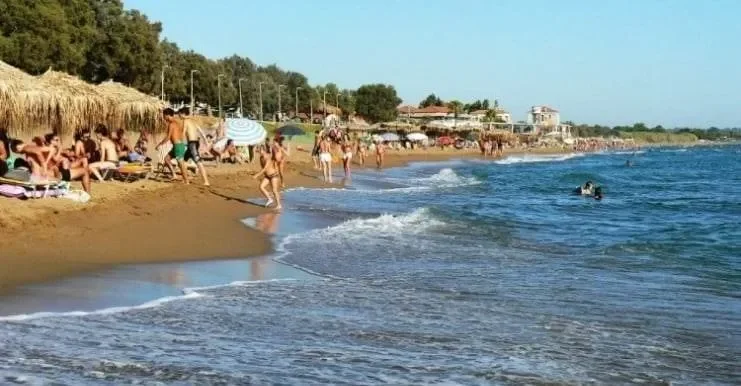 Amaliada, Peloponnese, Western Greece and the Ionian, Greece. - Photo 6