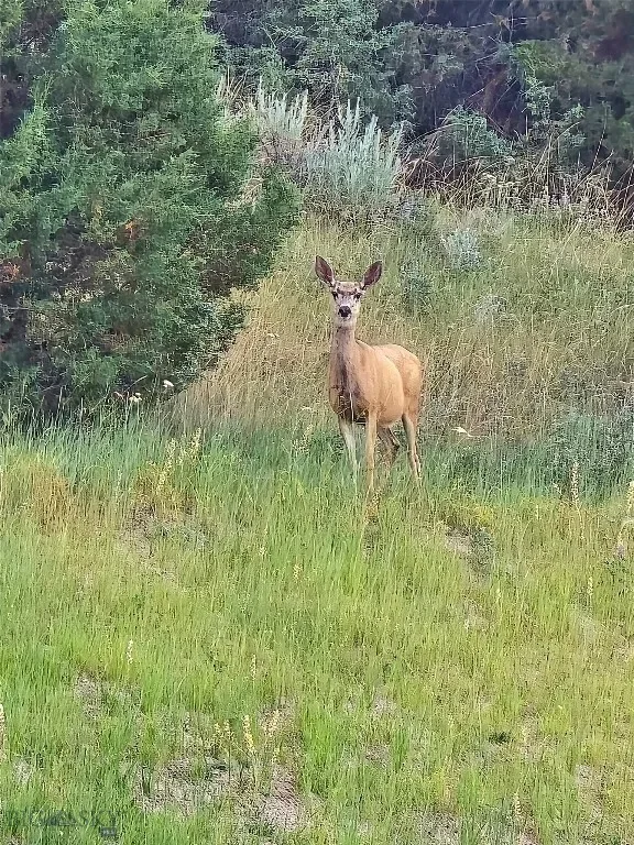 478 Pacer Landing, Manhattan, Montana, United States. - Photo 8