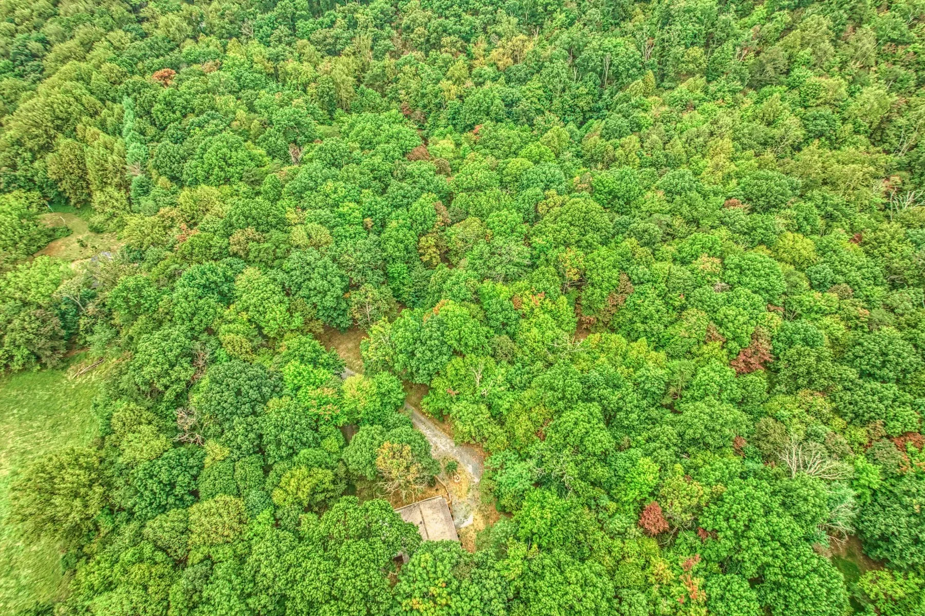 37740 Long Lane, Lovettsville, VA 20180, Lovettsville, Virginia, United States. - Photo 47