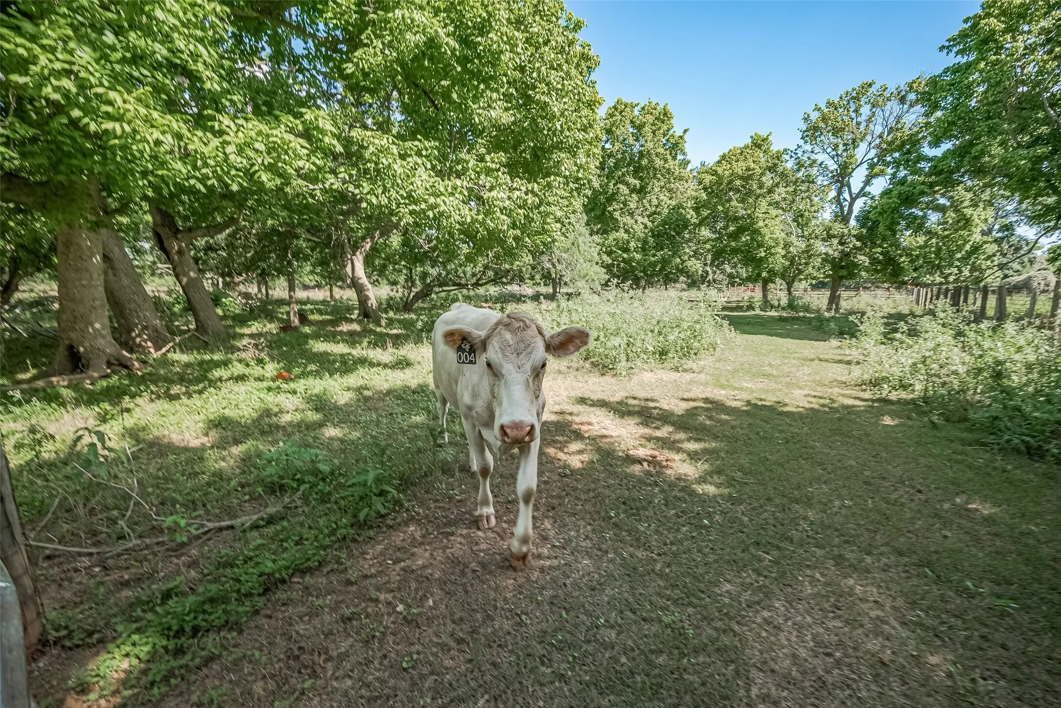 2511 Hartwell Road, Brookshire, TX 77423, Brookshire, Texas, United States. - Photo 26