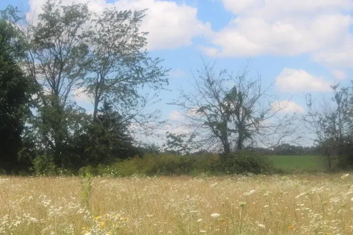 3176 S 170th Road, Polk, MO 65727, Bolivar, Missouri, United States. - Photo 25