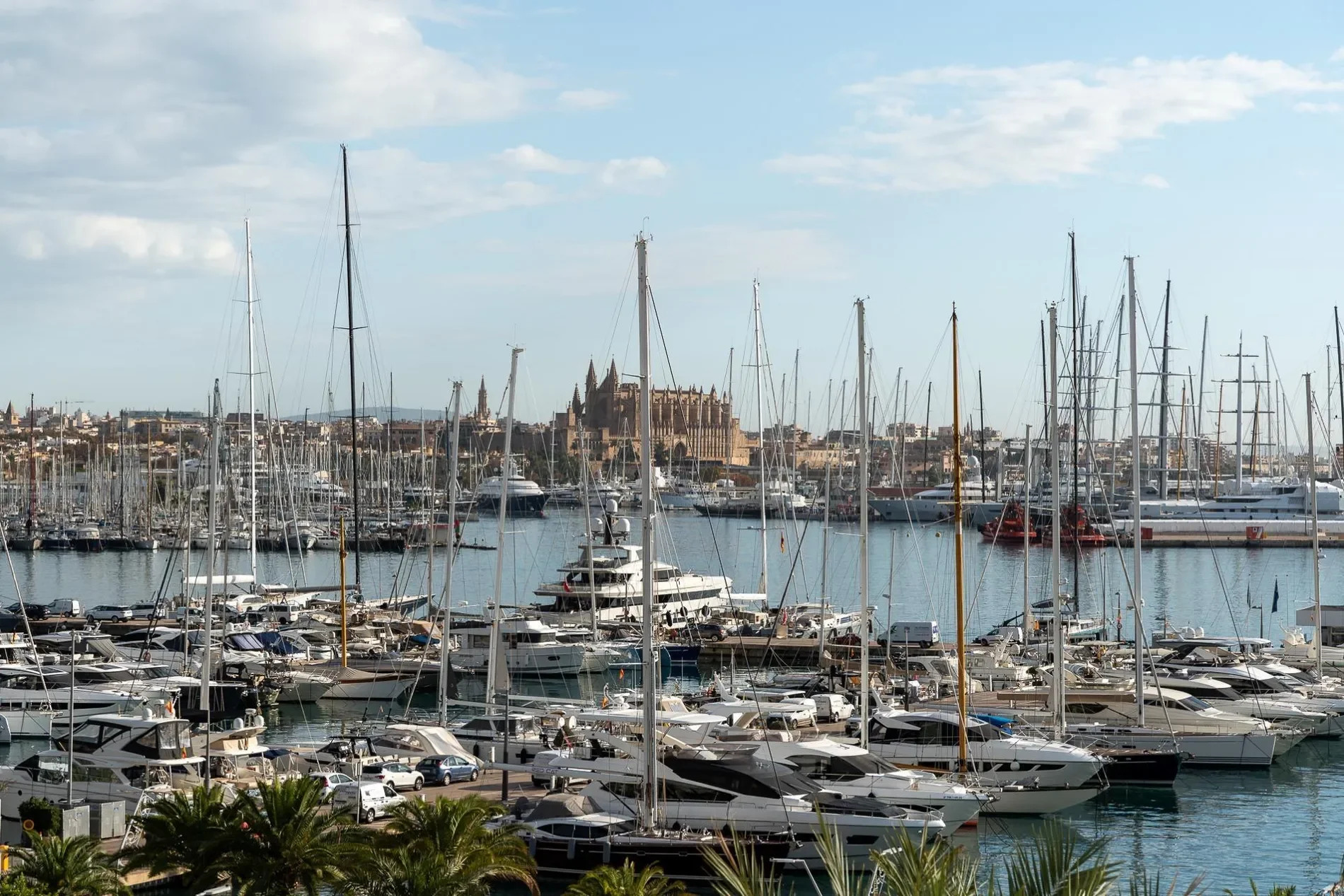 El Terreno, Palma de Mallorca, BALEARES, Palma de Mallorca, Palma, Balearic Islands, Spain. - Photo 27